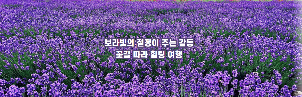 이미지슬라이드