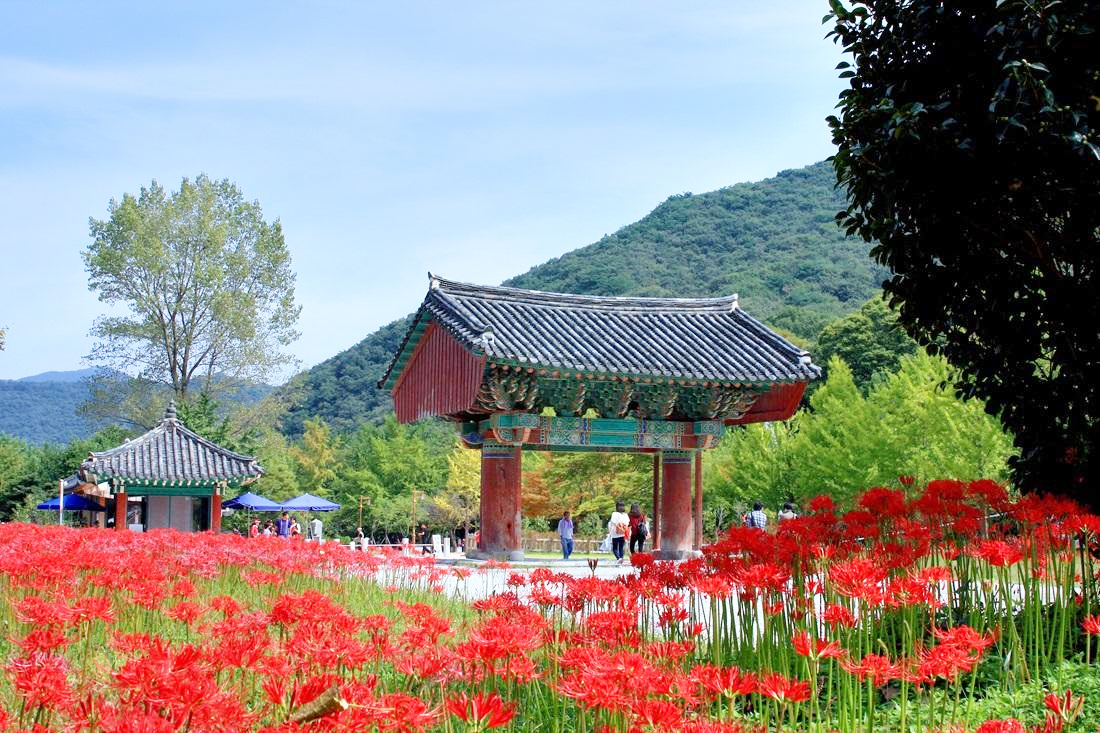 고창 선운사