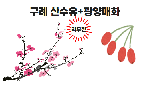 [당일-리무진]광양매화마을+구례 산수유마을 