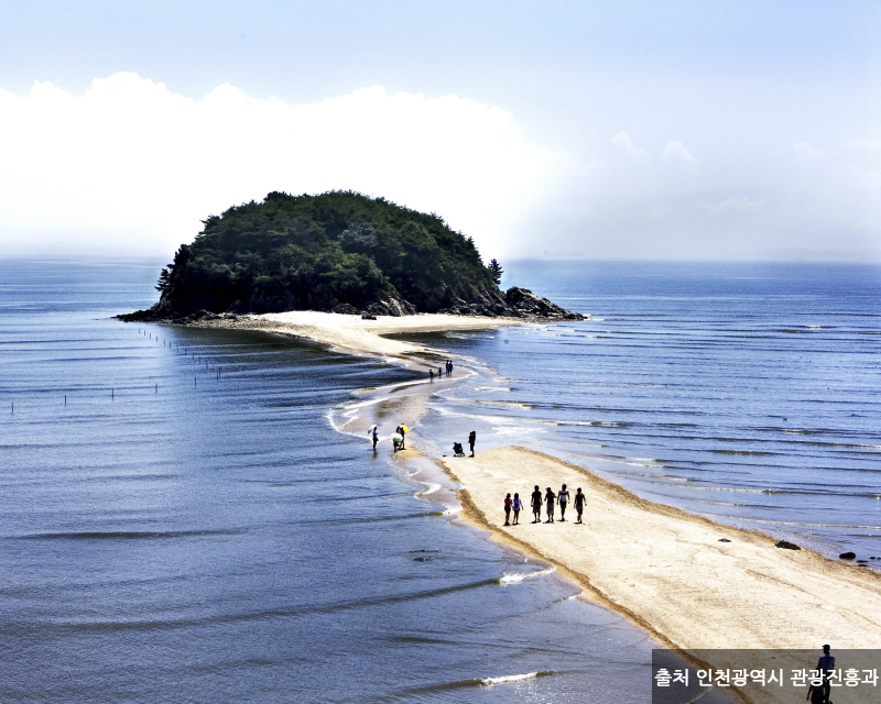 [당일] 인천 영흥도+선재도+십리포 해변