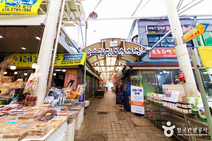 [당일] 고성 통일전망대+속초 회정식+영랑호수윗길+외옹치 바다향기로길 