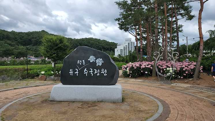 [당일]오색빛깔~ 공주 수국여행