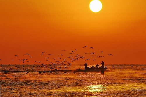 [1박2일] 동해 해돋이 여행 (봉화+울진+동해)