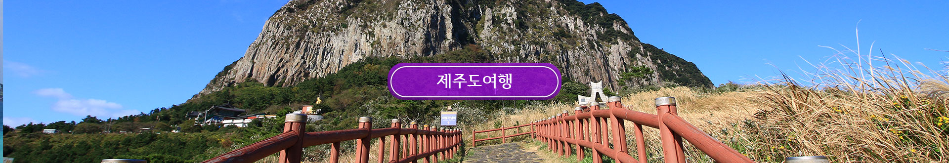상품메인비주얼